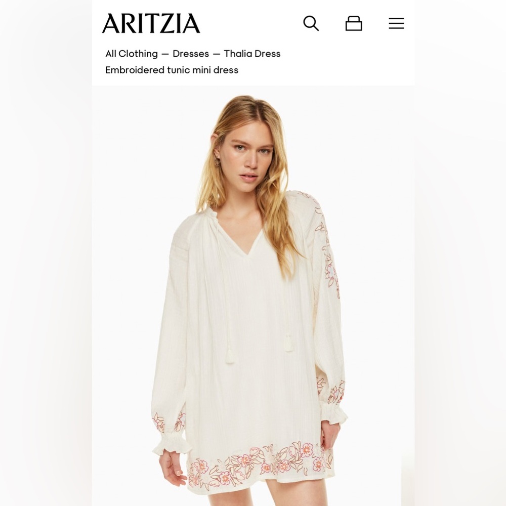 Aritzia Little Moon Thalia Dress
Embroidered tunic mini dress